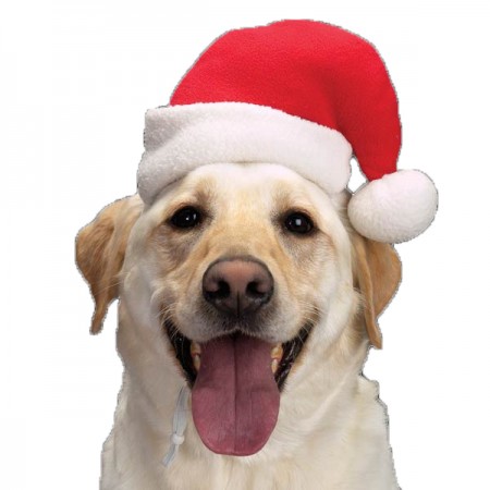 Santa Hat
