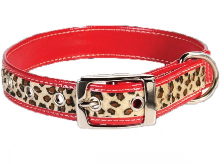 Wild Side Leopard Collar