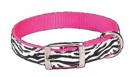 Wild Side Zebra Collar
