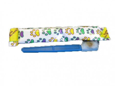 Disposable Toothbrush 