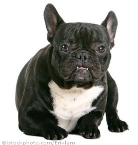 Deborah Vanderhoeven