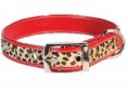 Wild Side Leopard Collar