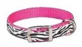 Wild Side Zebra Collar