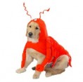 Lobster Dog